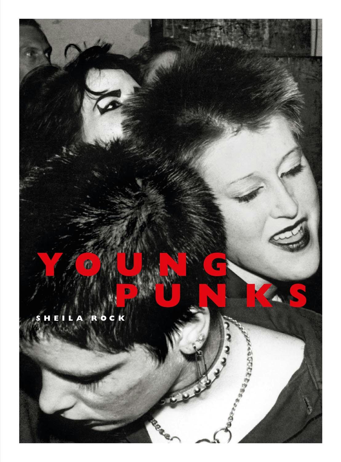 Book cover image for The Young Punks ISBN: 9781913172152